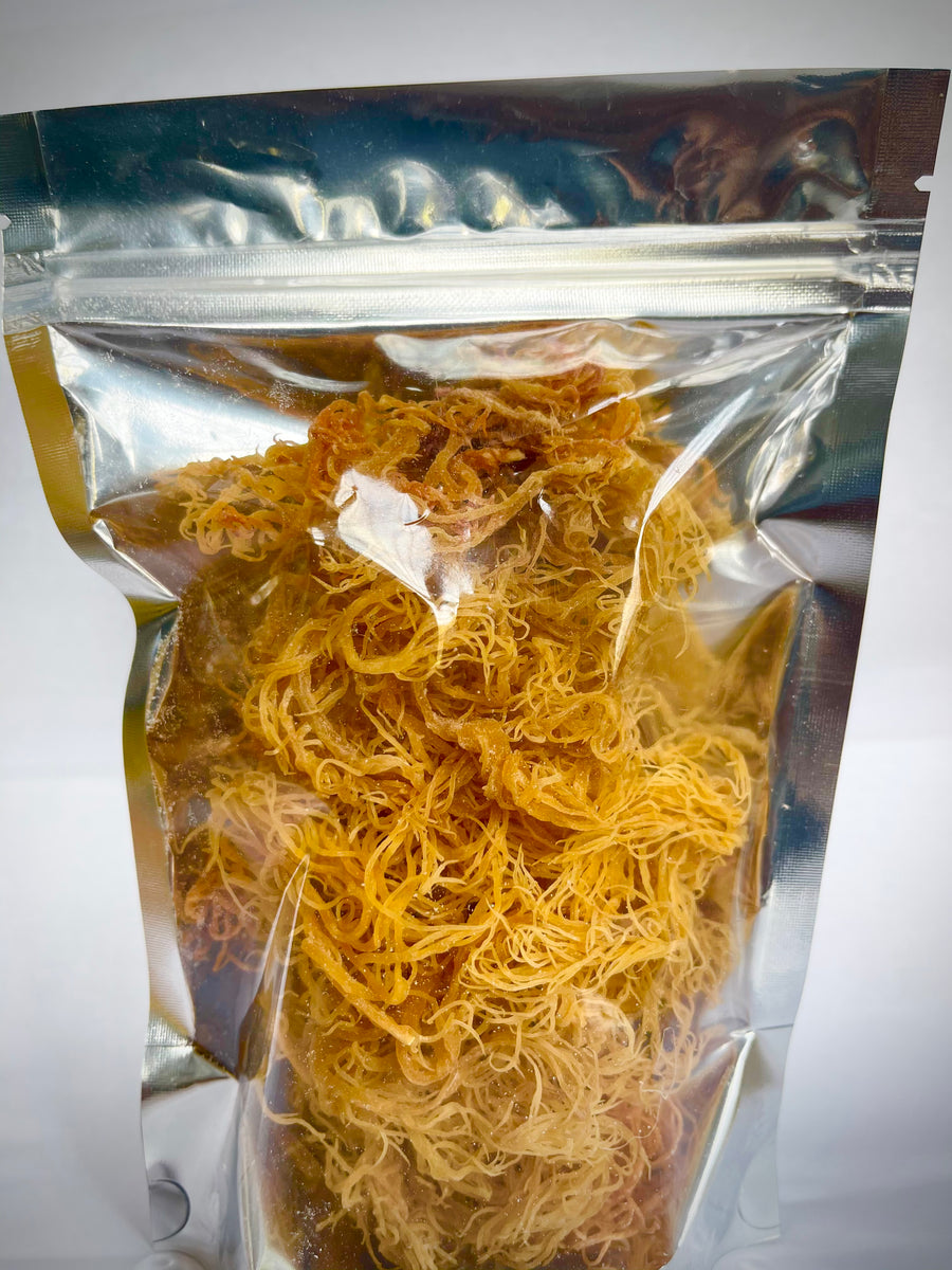 Wildcrafted GOLD Sea Moss 2.5 oz